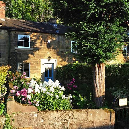 Rose Cottage 马特洛克 外观 照片